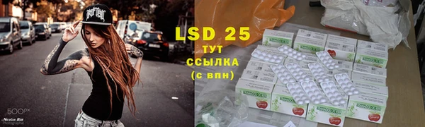 spice Алзамай