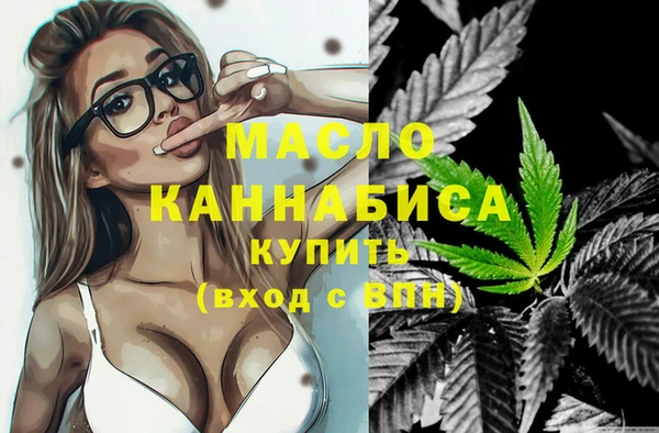хмурый Аркадак