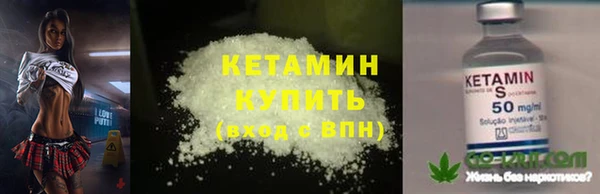 хмурый Аркадак