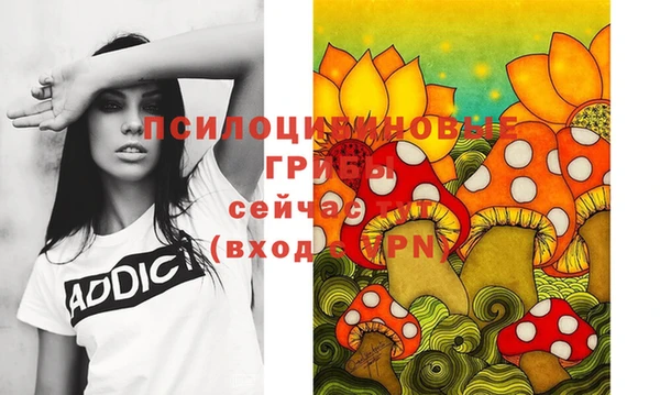 дживик Армянск