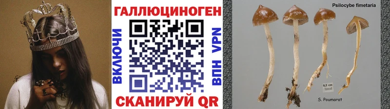 Галлюциногенные грибы Psilocybine cubensis  mega ссылки  Фрязино 