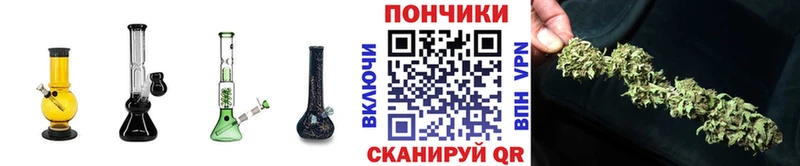 Каннабис OG Kush  Фрязино 